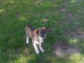 �������� ������ �����