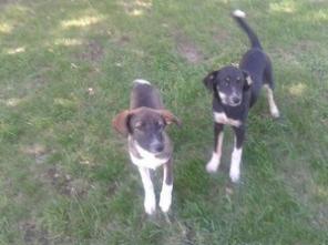 �������� ������ �����