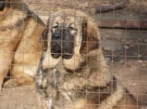 ��������� ������ �����