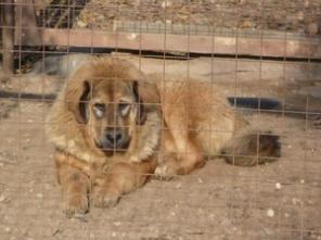 ��������� ������ �����