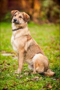 ����, ����������� ������� ��������-��� � ���