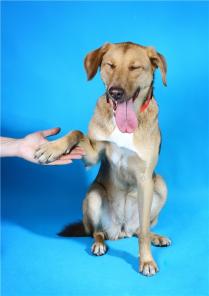 �����, �������� ����  ������ � ���