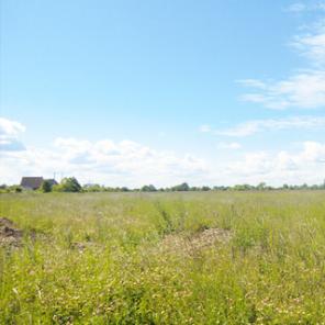 Земельный участок 30 соток ДНП в Валовщине (Кировский)