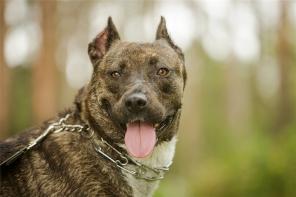 �������� ������� ������������� ������ ���� ���� ���, � ���