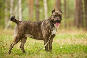 �������� ������� ������������� ������ ���� ���� ���, � ���