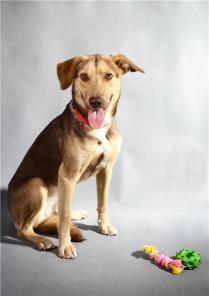 ������� �������� ������ ������ ���� ���, � ���