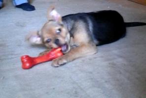 �������� � ������ ����