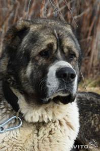 ������� ������ ��� (������) � ���