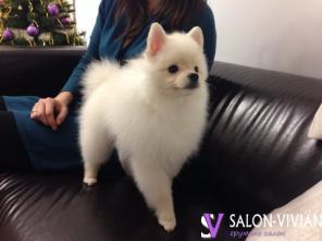 �������� � ������ "������"