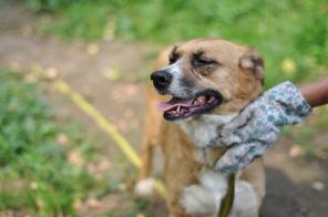 ���� - ������-�������� � ���