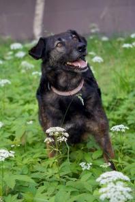 ����� - �������� ������ � ���