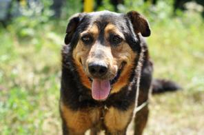 ����� ���������� � ���