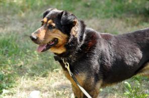 ����� ���������� � ���