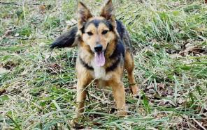 ��������� ������� � ���