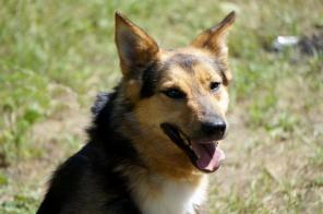 ��������� ������� � ���