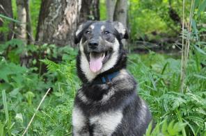 ����� - ����� �������� ������ �� �����