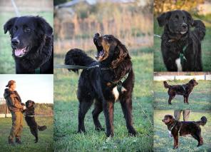 ������ -����� ��������� � ���