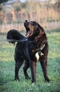 ������ -����� ��������� � ���