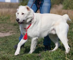 �����, ����������� ������� ������ � ��� (1 ���)