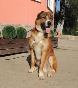 ������, ��������� ������ � ���