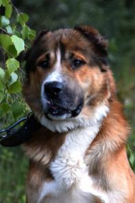 ������, ��������� ������ � ���