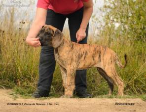 �������� ��� �����