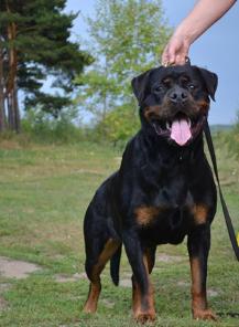 ����� ���������� �� ���������� ���������