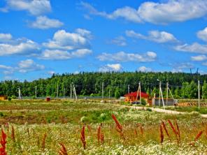 Продам участок в Павловском Посаде под строительство дома, ДП Синяя Птица.