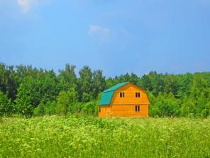 Продам участок в Павловском Посаде под строительство дома, ДП Грибово-2.