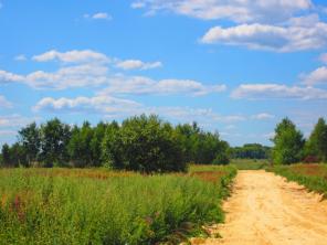 Продам участок в ДП Дубрава, 7 соток.