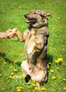 �������������� ��������� ����� ���� �������!