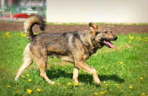 �������������� ��������� ����� ���� �������!