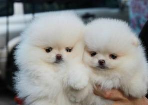 ���� ����� ���������� ������� � ��� ���