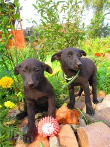 ����� � ���! 2 ���.