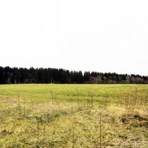 Земельный участок 20 соток ЛПХ в Жабино (Гатчинский)