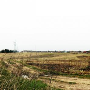 Земельный участок 20 соток ЛПХ в Жабино (Гатчинский)