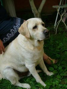 ���� ��� ����������, ��� �������� ����!