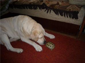 ���� ��� ����������, ��� �������� ����!