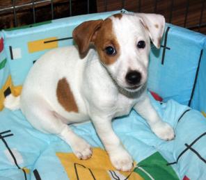 ����� ���� ������ ������