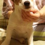 ����� ���� ������� �������