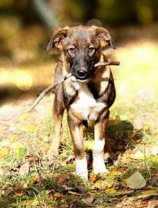 ����, ����, �� ��� �� ��?!