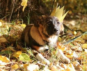 ����, ����, �� ��� �� ��?!