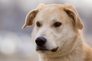 ������� � ������ ���, � ������ ����!