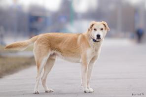 ������� � ������ ���, � ������ ����!