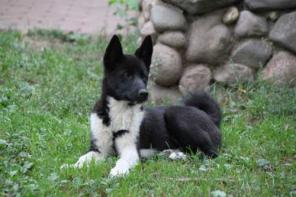 ����� �� ������-����������� �����