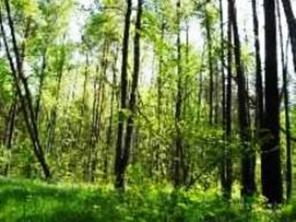 CАМЫЕ НЕДОРОГИЕ УЧАСТКИ ОТ СОБСТВЕННИКА!