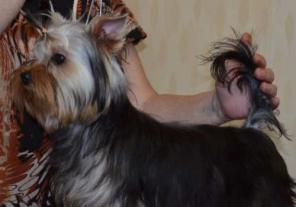 ����� ������������ �������