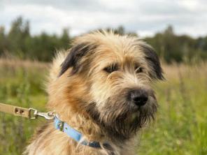 ��������� ����� ���, ����� �������, ��������� ���� � ������ ����