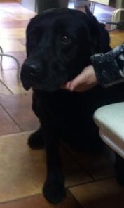 ������ ������������!