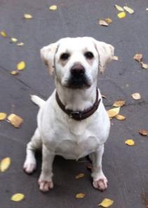 ������� ��������� ���� � ���!